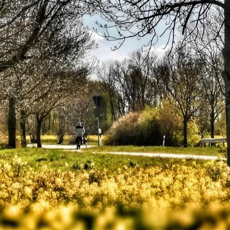 Lägenhet Apartmentvermittlung Mehr Als - Objekt 7 *